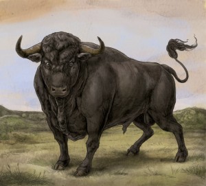 cropped-final-bull-no-crown