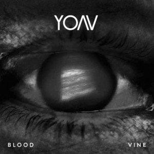 yoav-blood-vine-2012 (1)