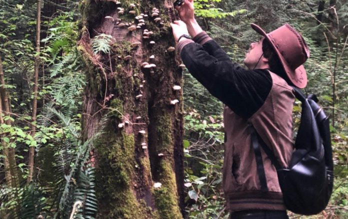 Alex Ross picks mushrooms off of a tree