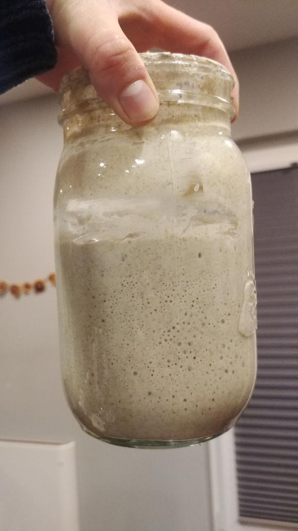 Photo of sourdough starter bubbling in a jar