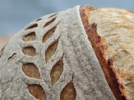 Photo of a loaf of sourdough bread with an intricate leaf pattern on top