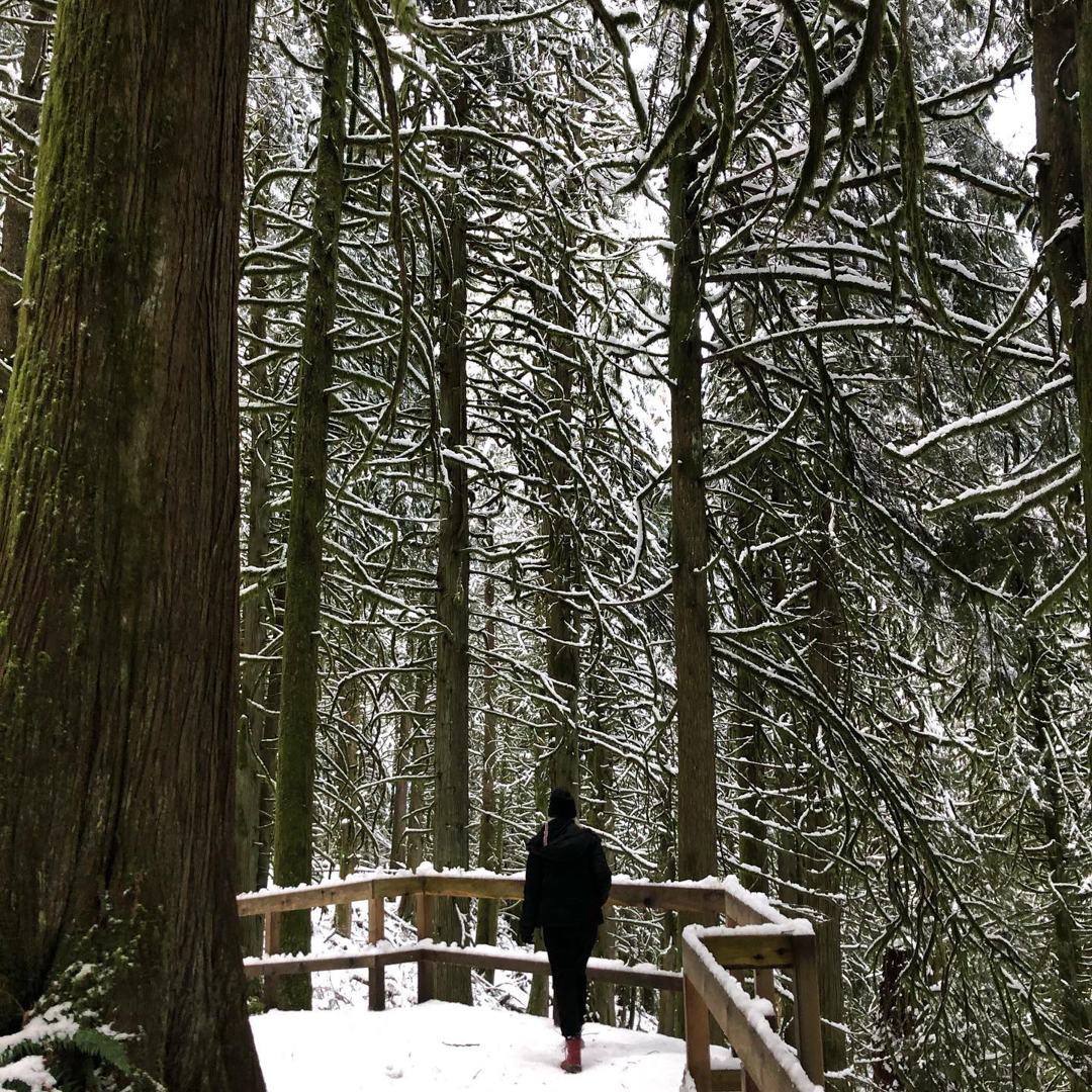 Photo of a person standing on a snowy trail, looking out at bare trees