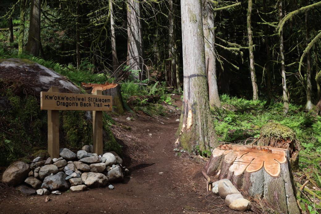 Photo of a wooden sign at the entrance to the Dragon's Back Trail