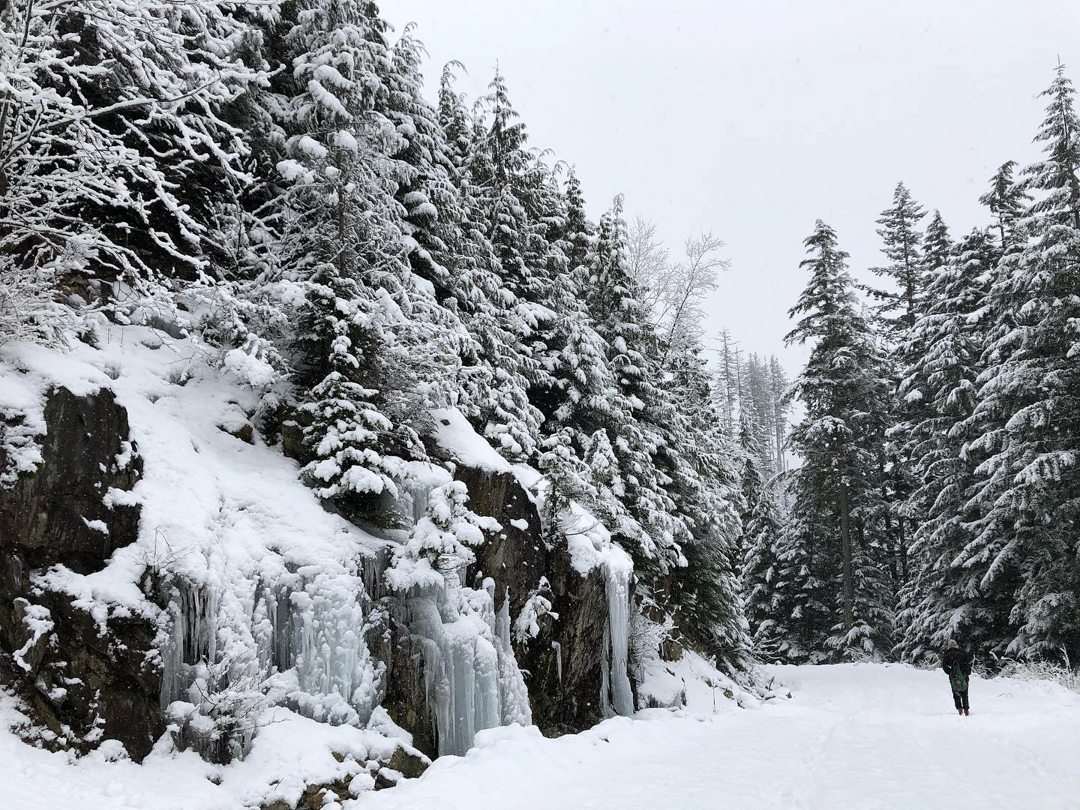 Photo of snowy trees and a person hiking on Mount Benedict