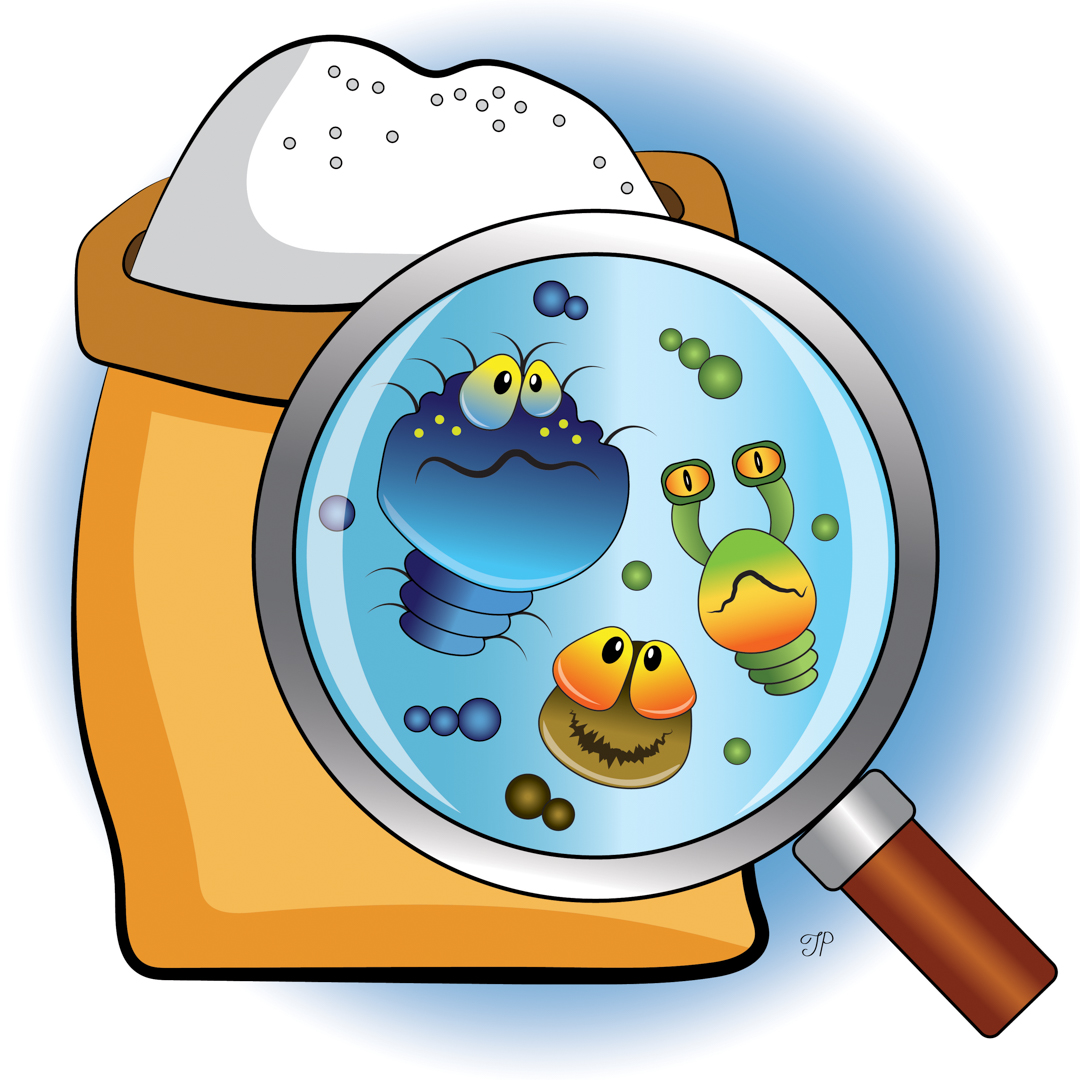Illustration of a magnifying glass examining a sack of flour and finding bugs and bacteria