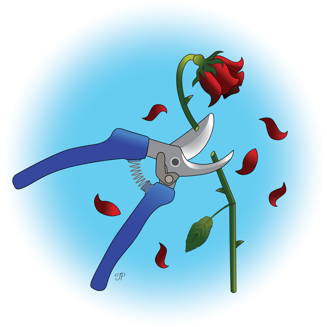 Illustration of a rose's stem being snipped