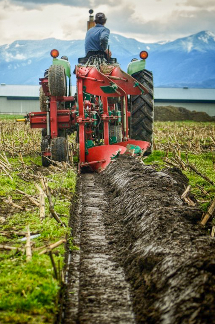 Photo of a tractor plowing a field, taken from behind with a mountain looming in the distance