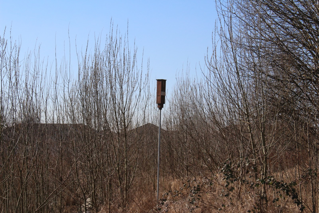 Photo of a bat box at the top of a tall post amidst trees