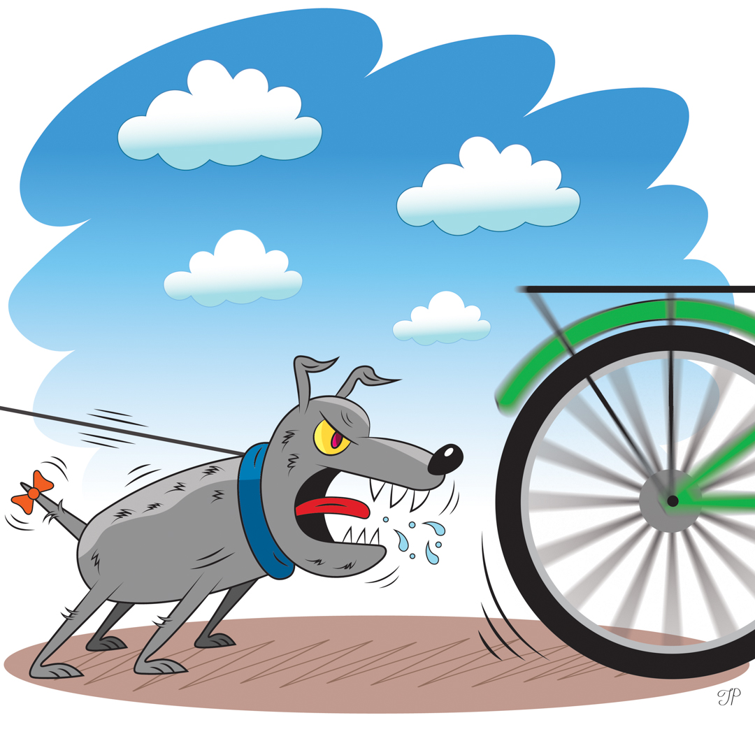 illustration of an angry looking dog tugging at its leash and barking at a bike that is speeding past