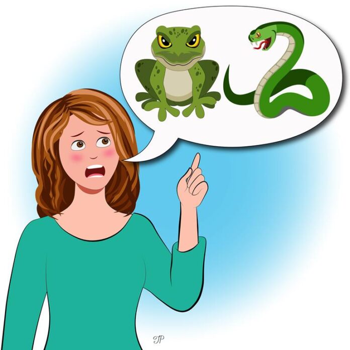 A girl is pointing at a frog and a snake in a thought cloud above her.