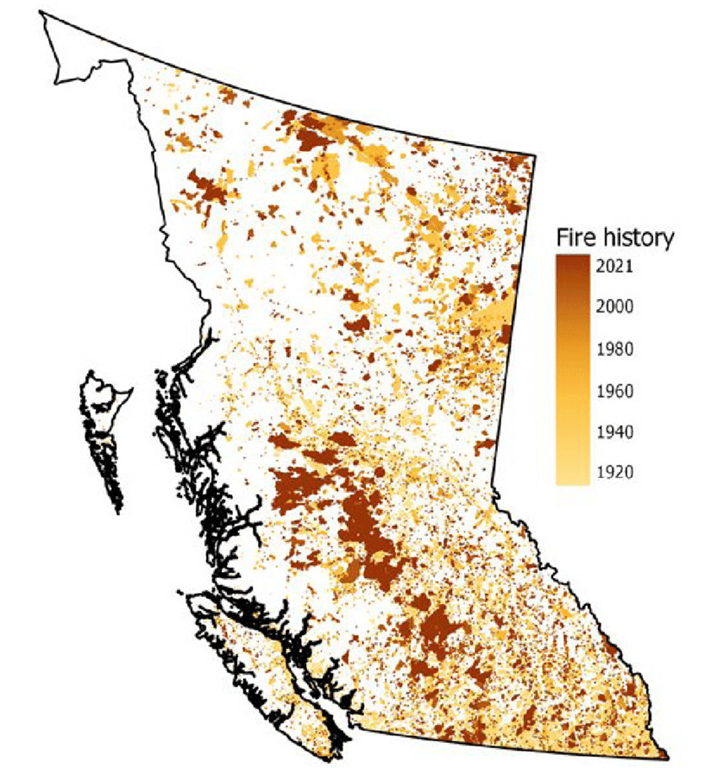 A graph showing the history of wildfires throughout the last century across BC