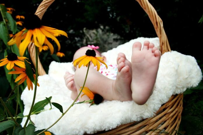 The free high-resolution photo of hand, girl, flower, spring, child, basket, flora, baby, flowers, infant, baby feet , taken with an Canon EOS DIGITAL REBEL XTi 03/11 2017 The picture taken with 18.0mm, f/5.0s, 1/60s, ISO 400