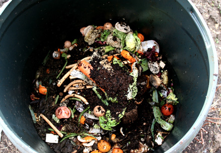 Composting for trendy UFV students