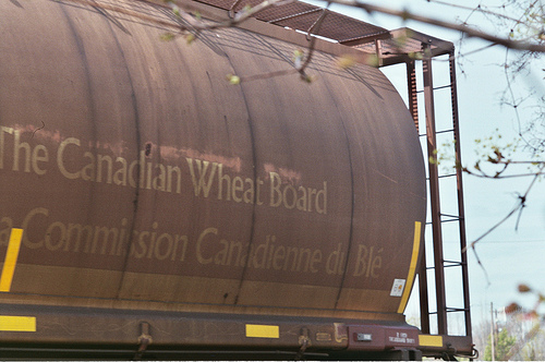 The end is nigh for the Canadian Wheat Board