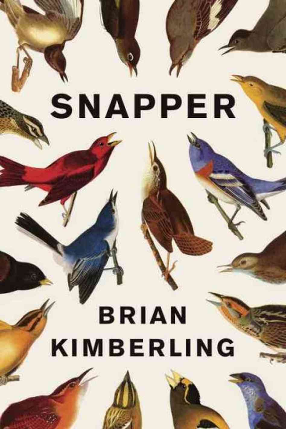 Book Review: Snapper by Brian Kimberling