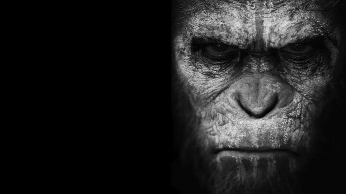 Dawn of the Planet of the Apes dwells on the humanity of apes, but not of humans