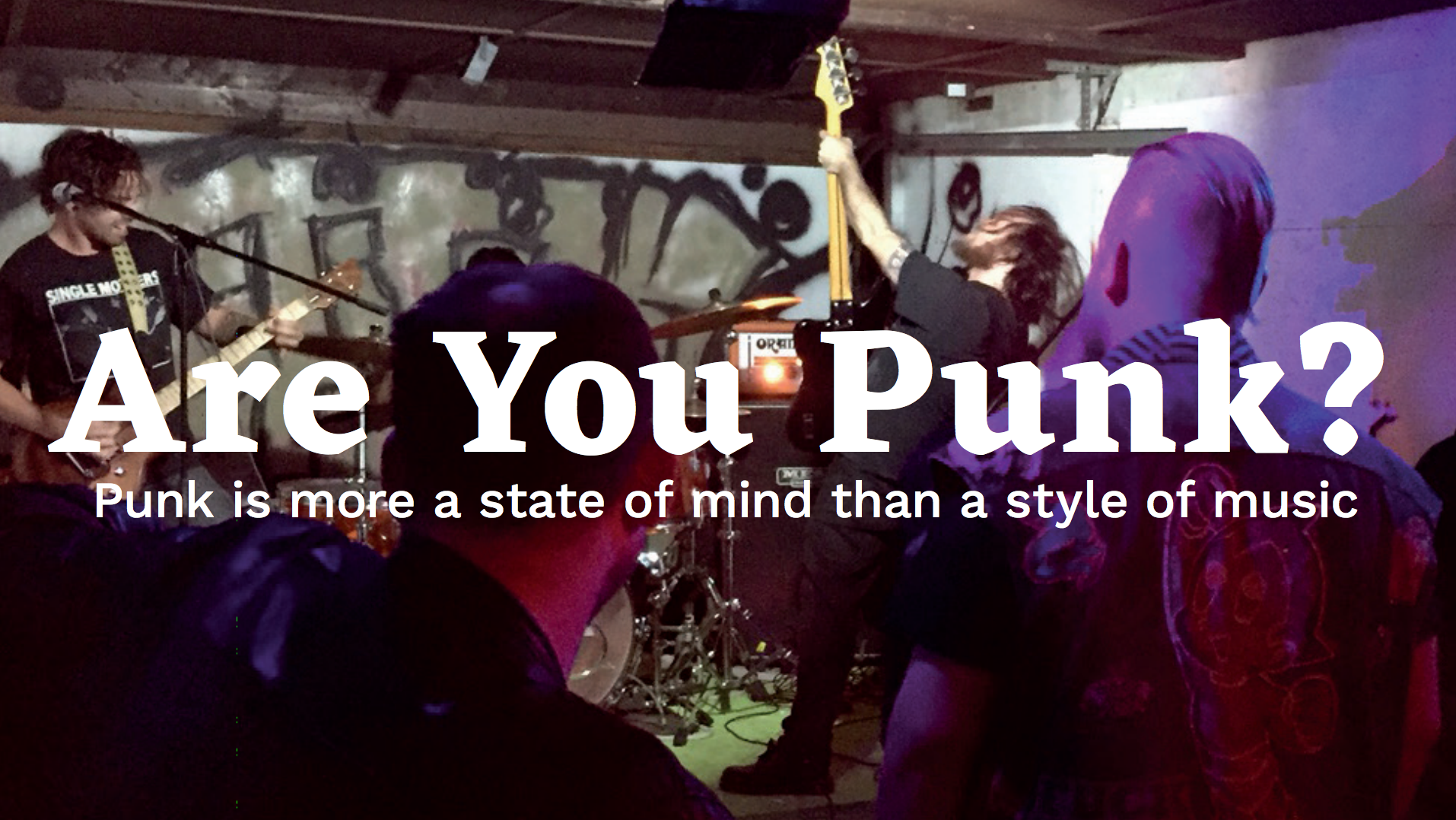Are You Punk?