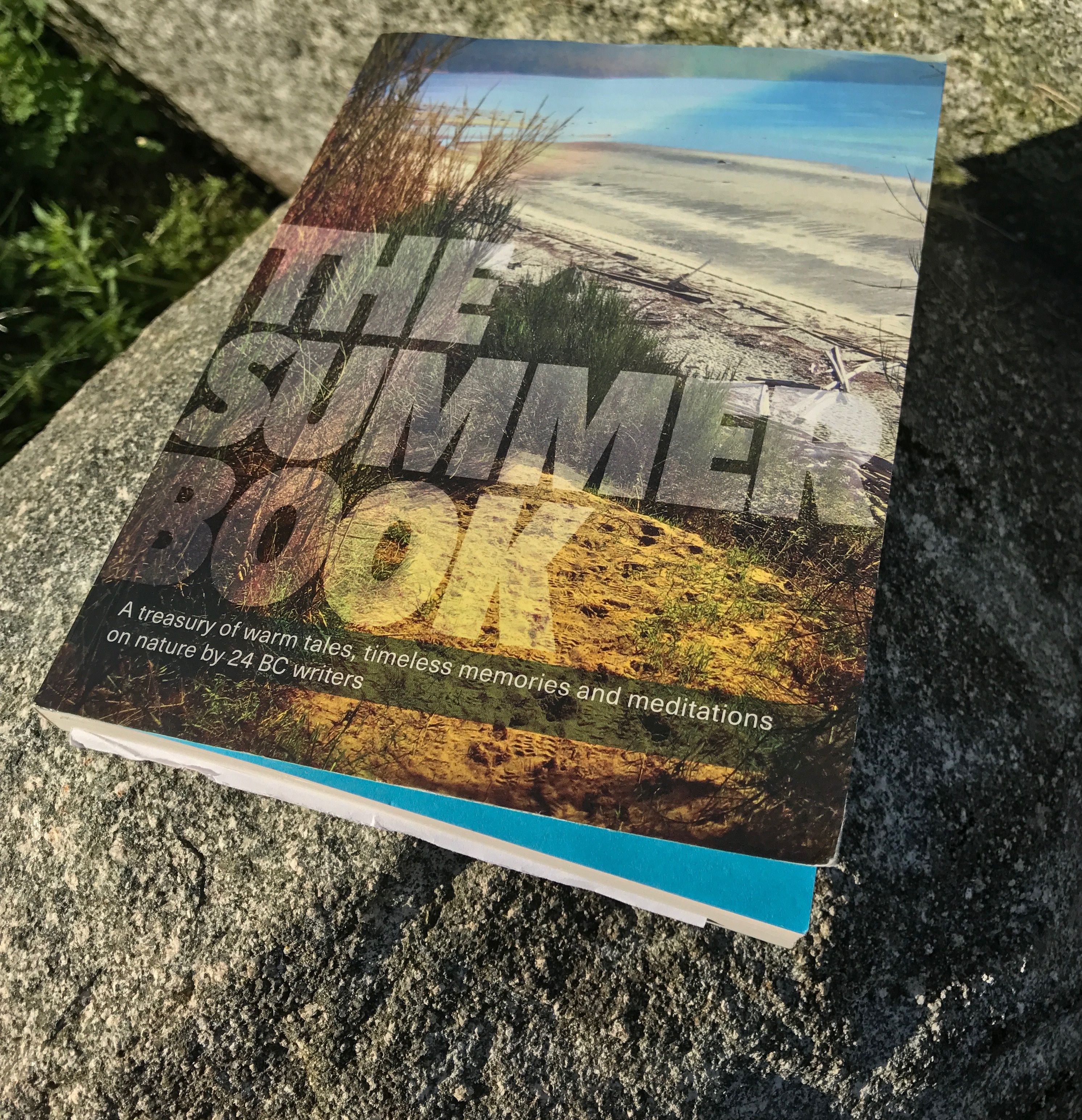 The Summer Book is summer