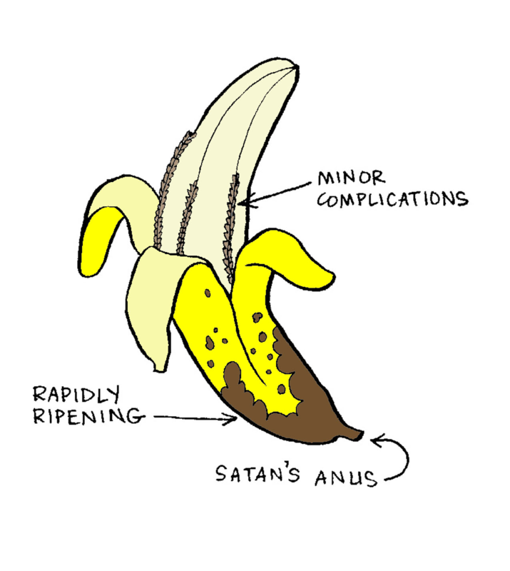 Bananas about bananas
