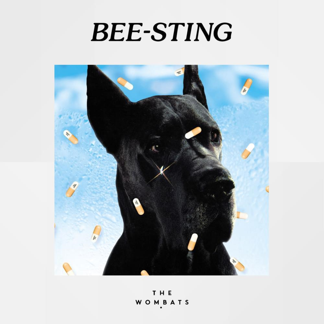Soundbite: “Bee-Sting” by The Wombats