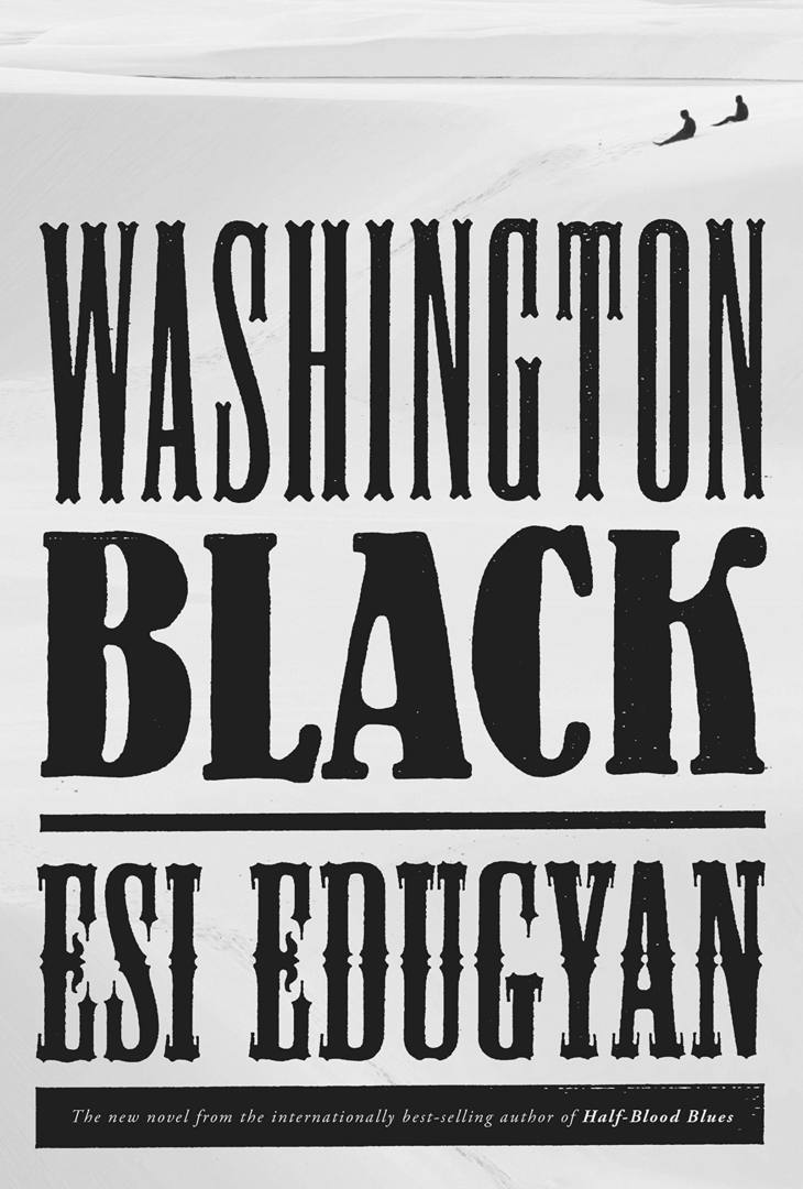 Too many question marks: a review of Washington Black