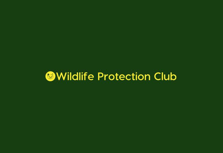 Club Spotlight: Wildlife Protection Club