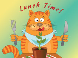 Illustration of a cat preparing to eat a plant with a knife and fork. Text reads "lunch time!"