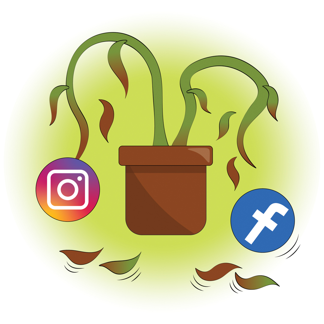 Illustration of a dying plant, with Instagram and Facebook as the flowers