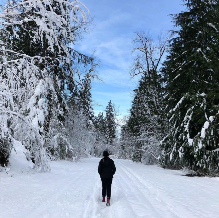 Photo of a person walking down a snowy, tree-lined path