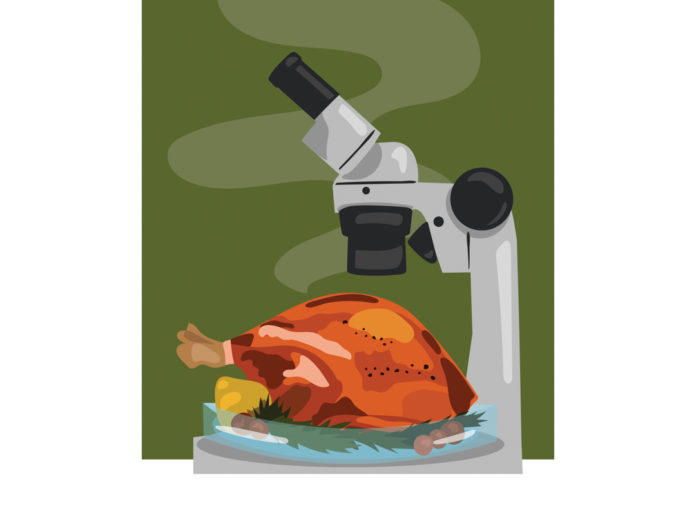 Illustration of a microscope looking at a cooked turkey