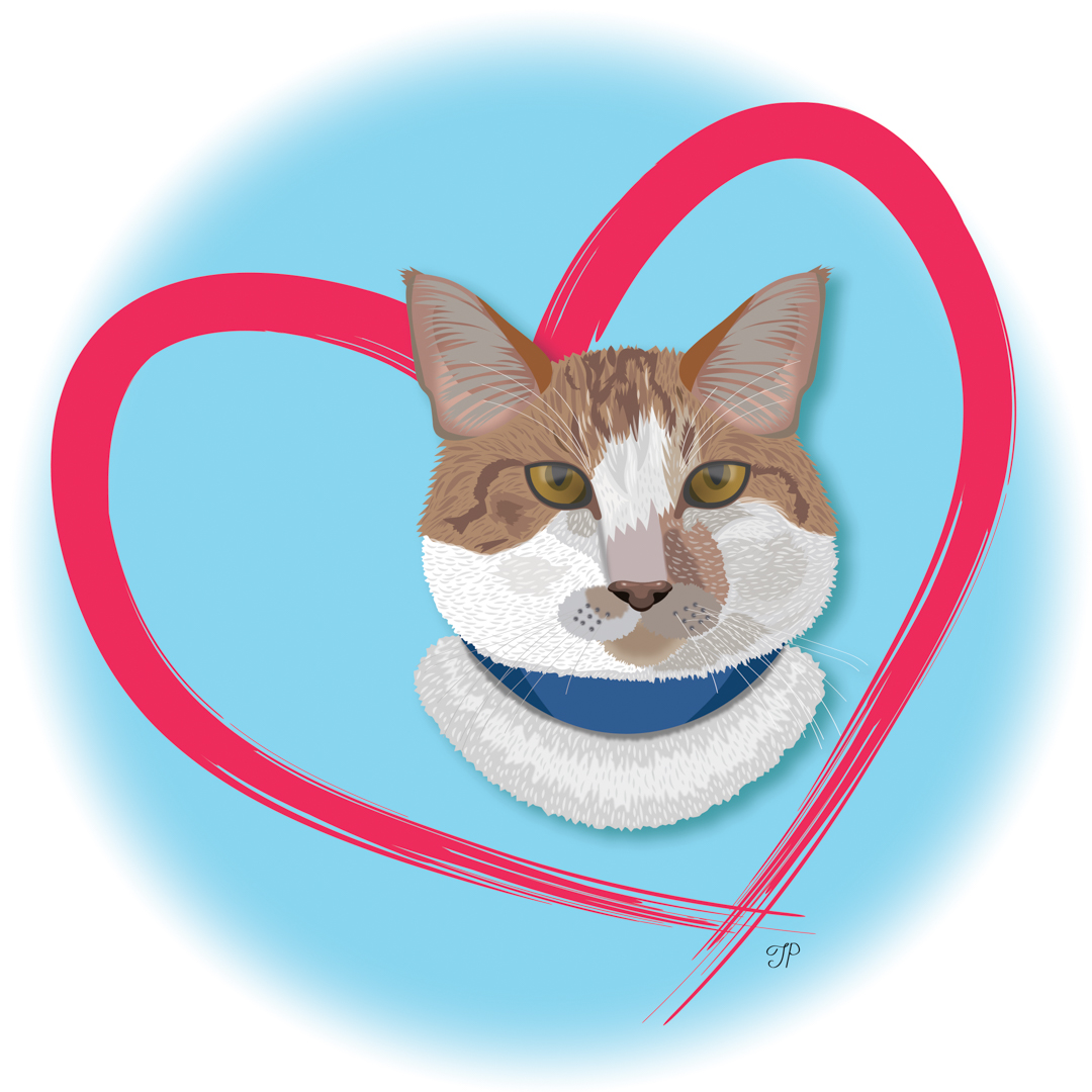 Illustration of a cat with a heart drawn around it