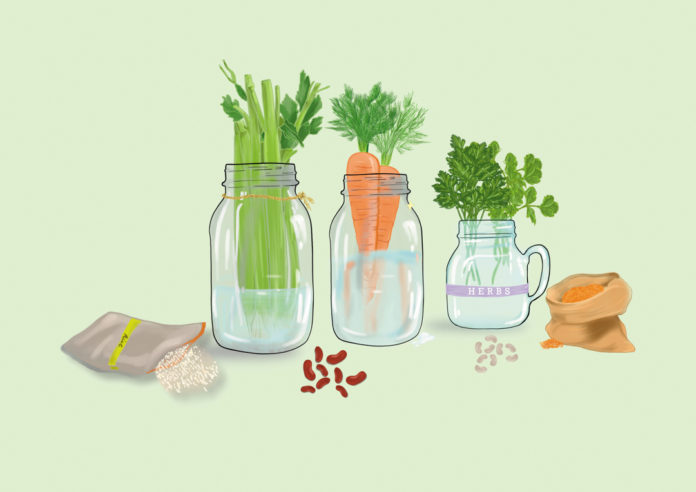 Illustration of celery, carrots, and other produce in jugs in water, with beans scattered around them.