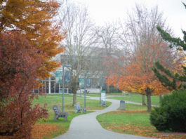 Photo of the UFV green in fall, with orange leaves on trees and the ground