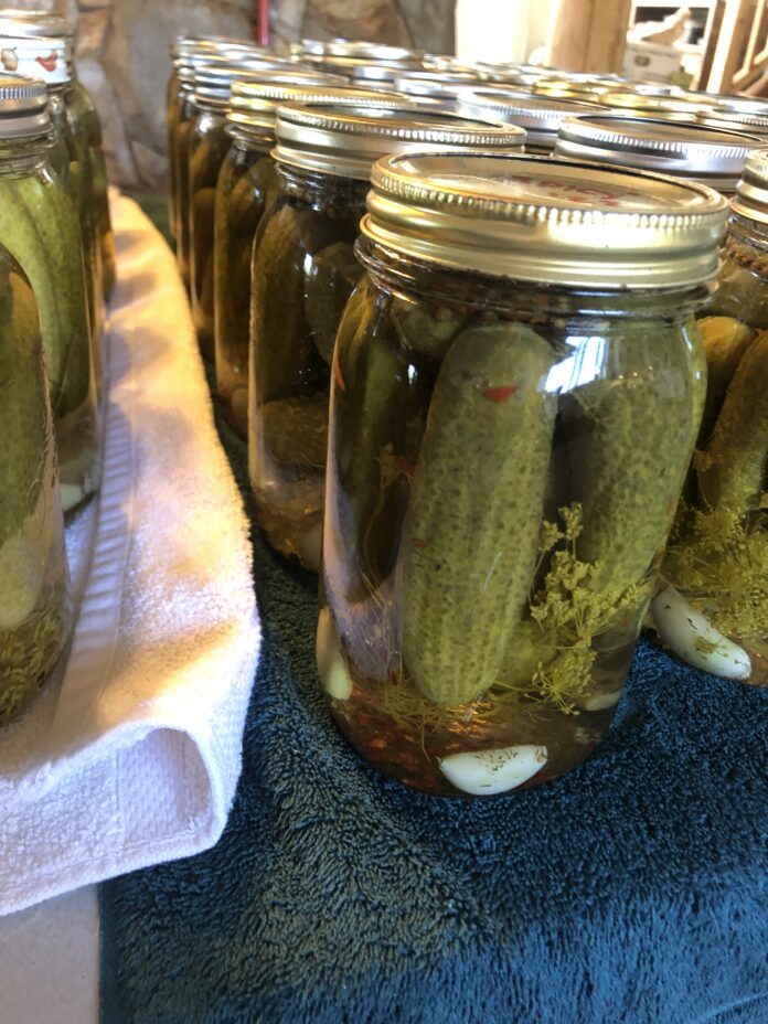 Image of a a Jar of Pickles