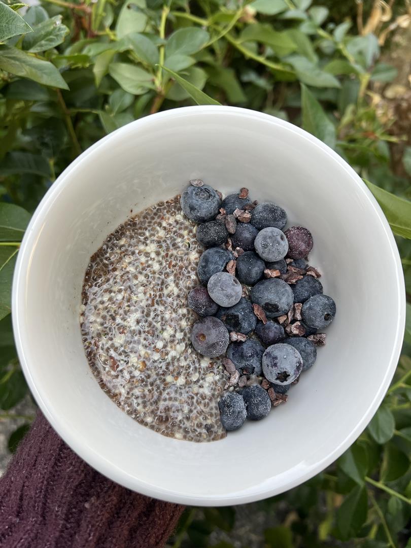 A photo of a white bowl with chia pudding topped with blueberries being held over some green plants.