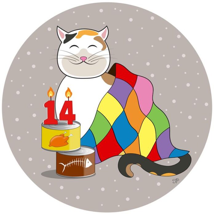 A calico cat wrapped in a colourful quilt and sitting beside two cans of food. One can label has fish bones on it and the other – a whole chicken. There are lit Happy Birthday candles, shaped as number 14 on top of the cans.
