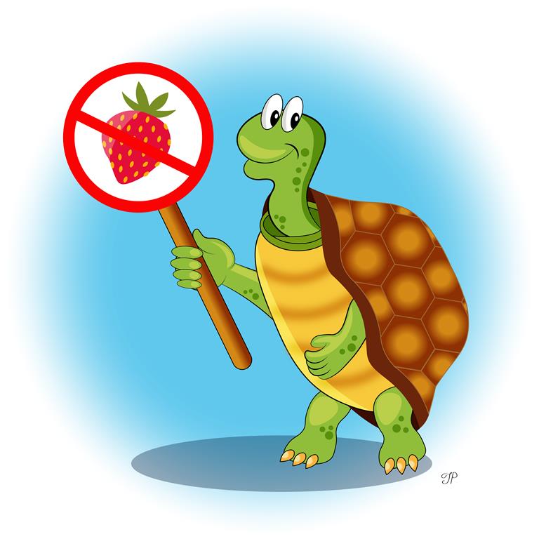 There is a tortoise with a sign in its hand showing the prohibition of strawberries.