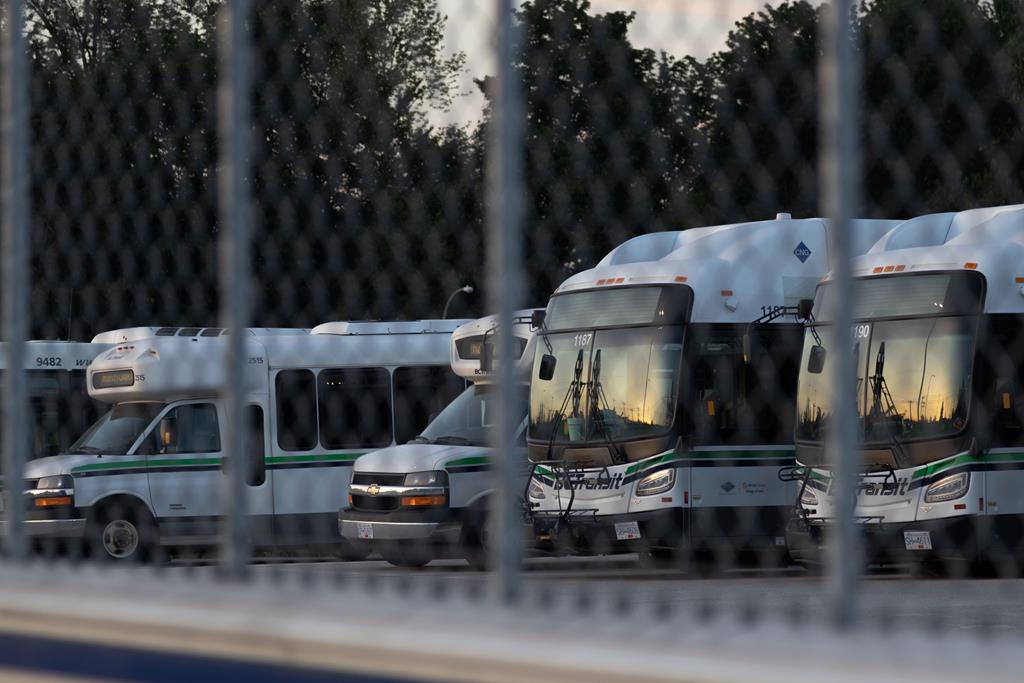 Photo of a line of BC Transit buses behind a cage