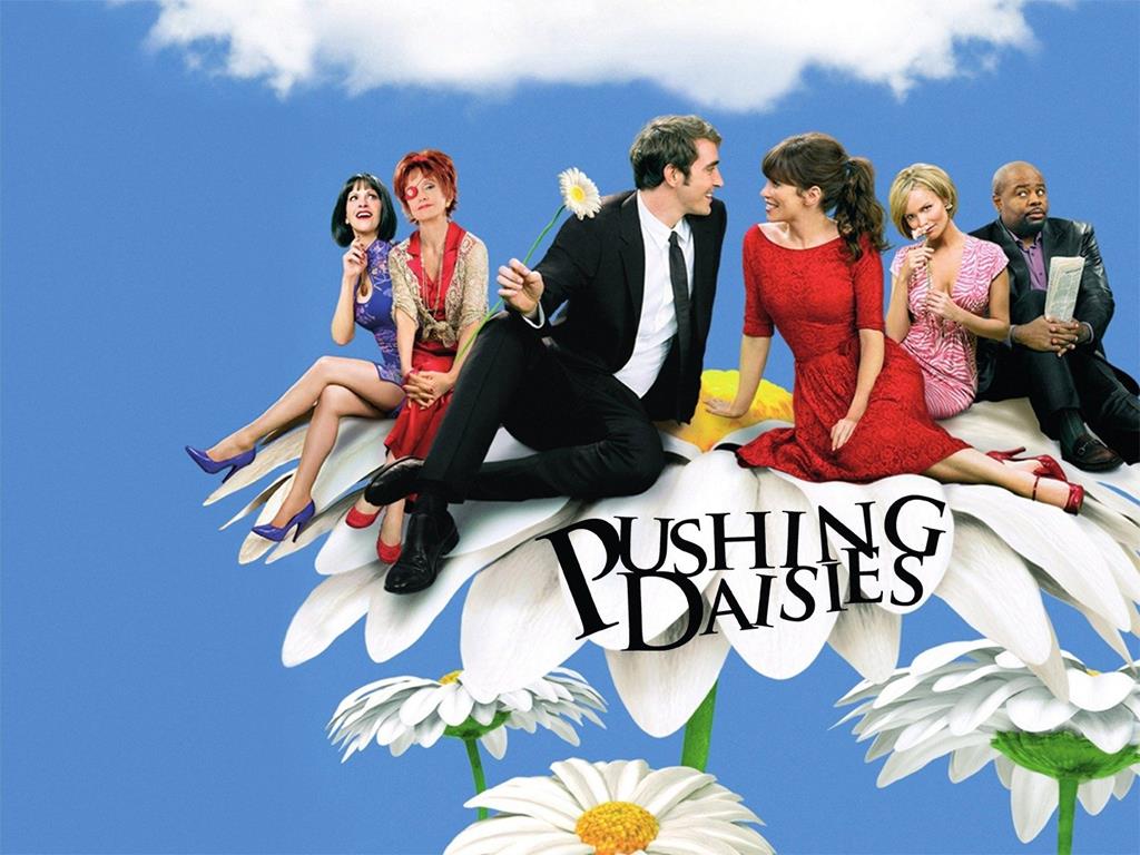 A title screen from the show, the actors are sitting in a large group on top of large daisies against a blue sky. The title reads 