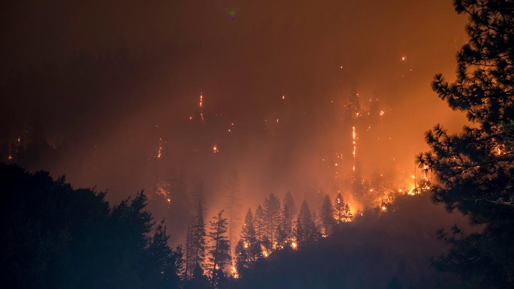 A raging nightly forest fire burning down acres of trees emitting clouds of smoke and creating a hazy atmosphere