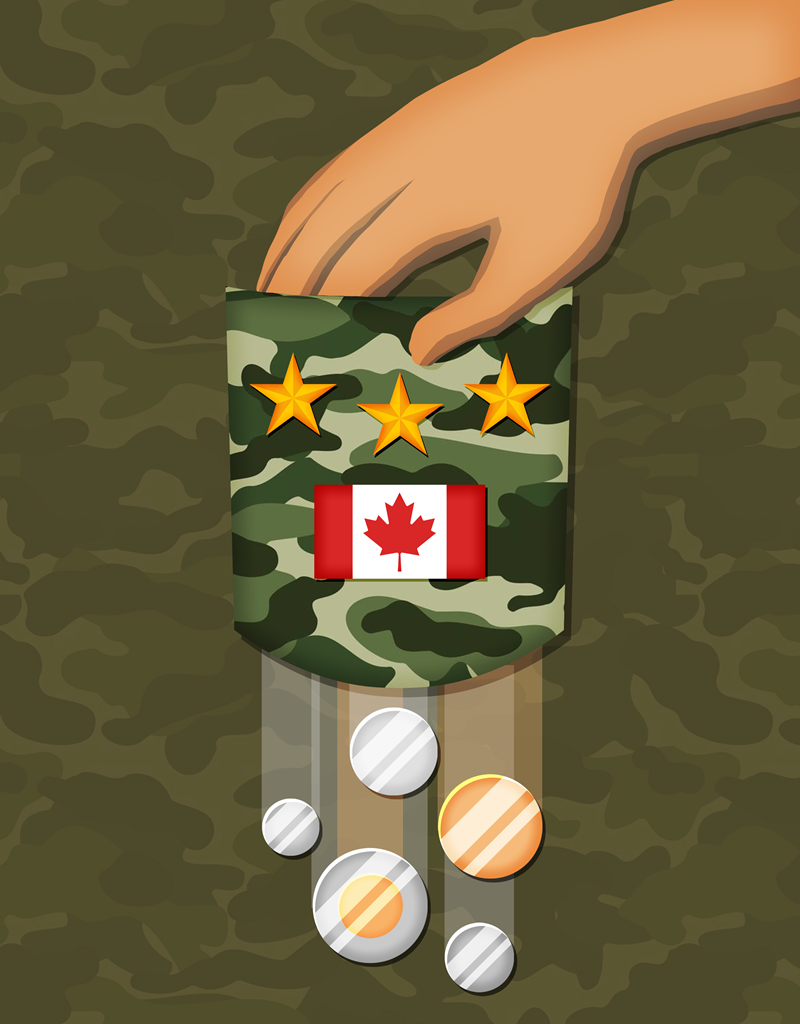 A military medal with the Canadian flag.