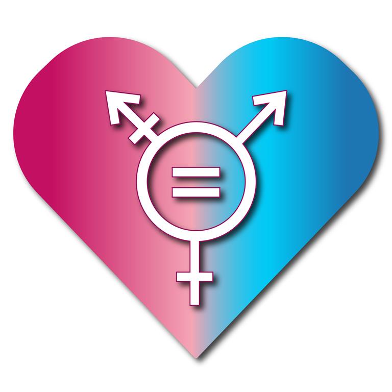 A heart with the left half the colour pink, and the right half the colour blue with a transgender symbol in the middle of the heart