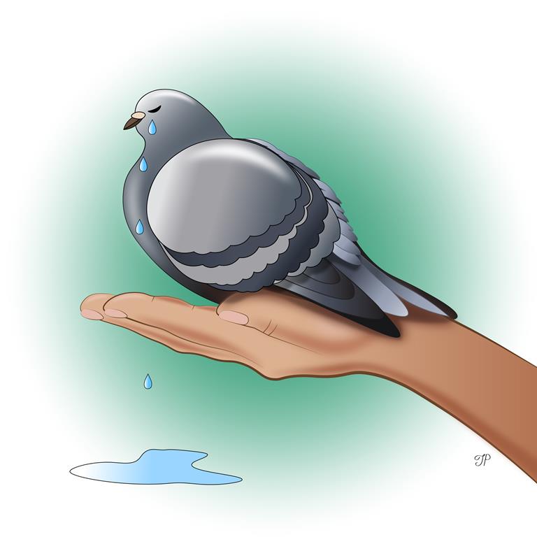 A pigeon sits in a person’s hand. Pigeon’s eyes are closed, shedding tears.