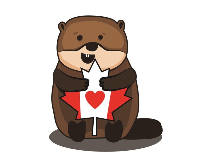 A beaver holding a Canadian flag shaped maple leaf