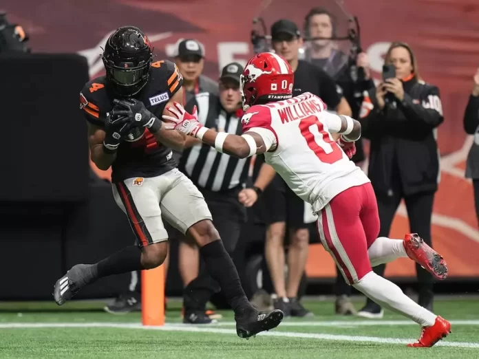 B.C. Lions' Keon Hatcher makes a touchdown reception as Calgary Stampeders' Kobe Williams watches during the CFL Western Semifinal at Vancouver in November.